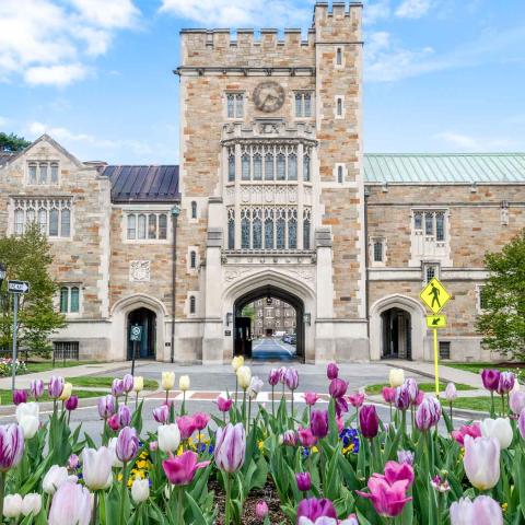 Front of the Taylor Hall Gate, a large stone building with a central arched gateway and tall clock tower, surrounded by blooming pink, purple, and white tulips in the foreground.