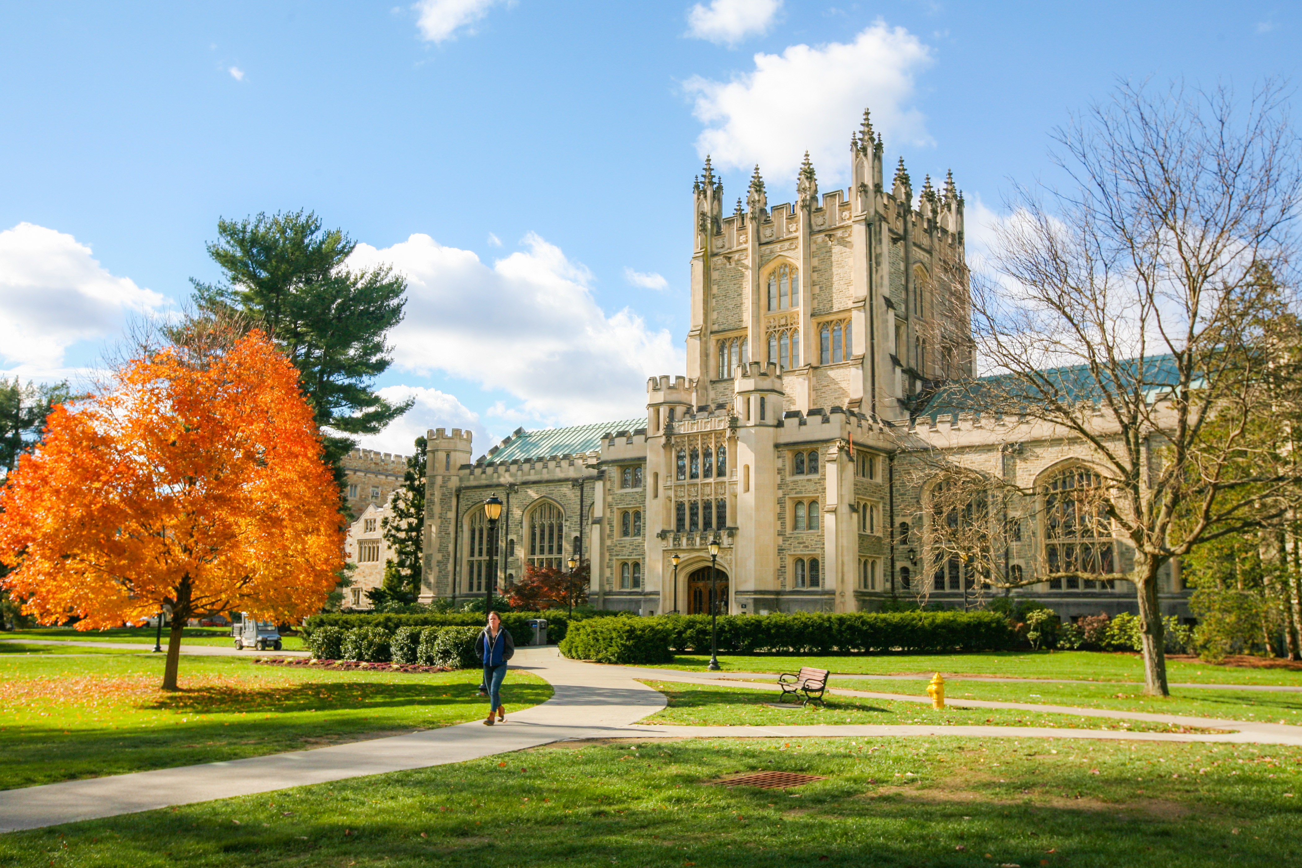 Photo of the library with fall foliage on trees