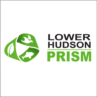 Green illustration with aquatic animals and text that reads: Lower Hudson Prism.