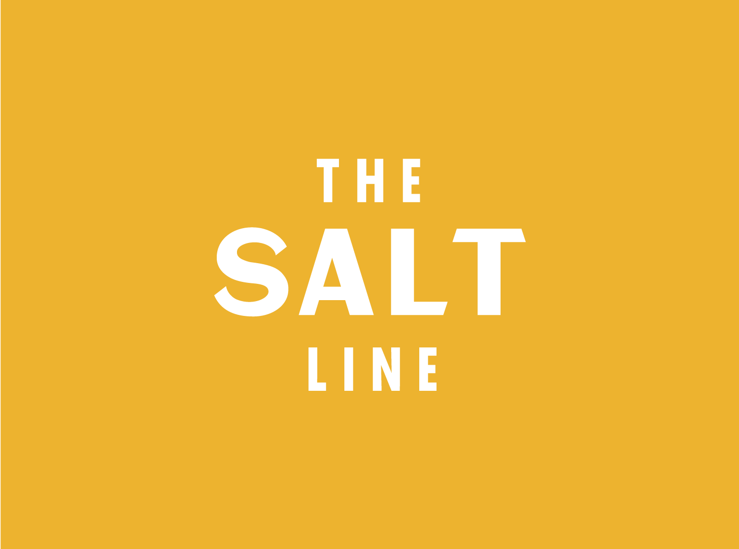 Graphic with a yellow background and white text that reads: The Salt Line.