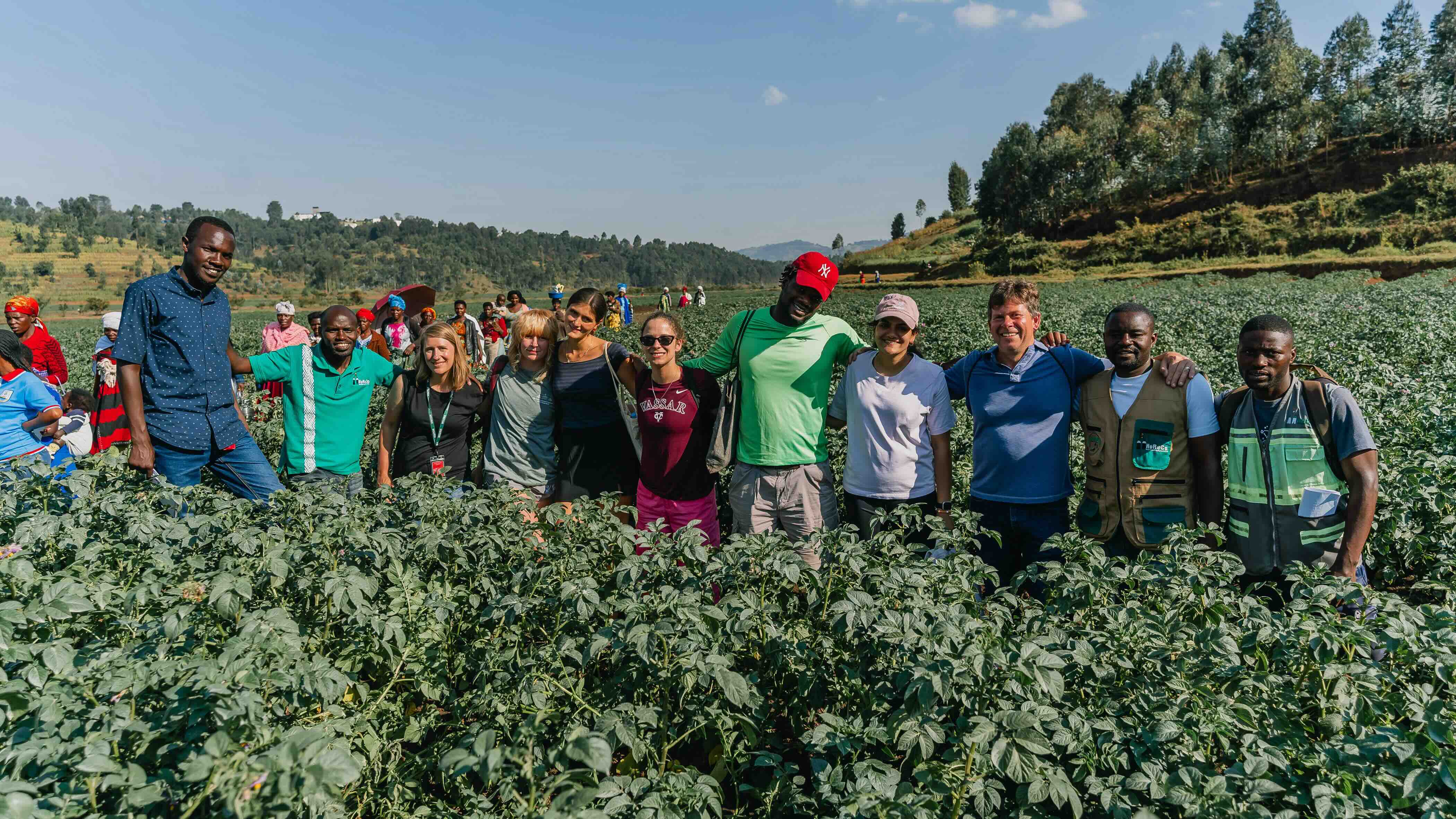 Large group of people smiling and standing arm in arm in a large crop field in the direct midday sun.