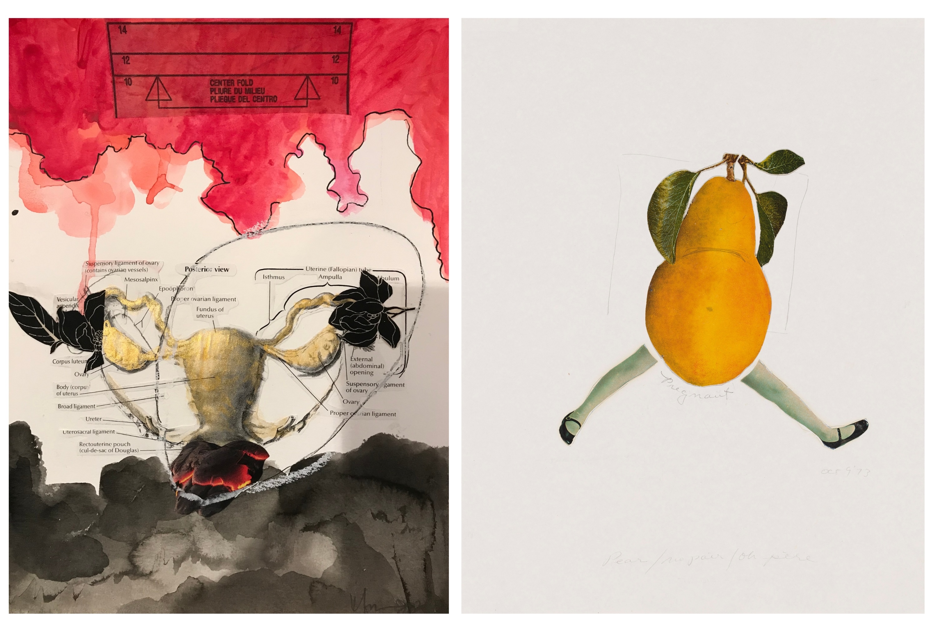 At left, a diagram of a woman’s reproductive system is collaged on paper, with watercolor and organic plant forms. At right, a pear with human legs.