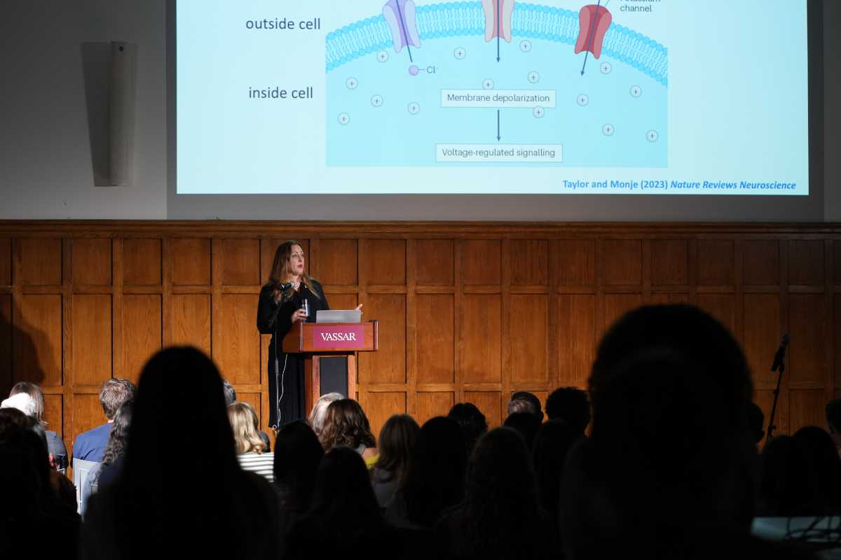 Dr. Michelle Monje ’98, a person with long blond hair and a dark dress, stands in an auditorium giving a presentation. A slide is visible behind her.