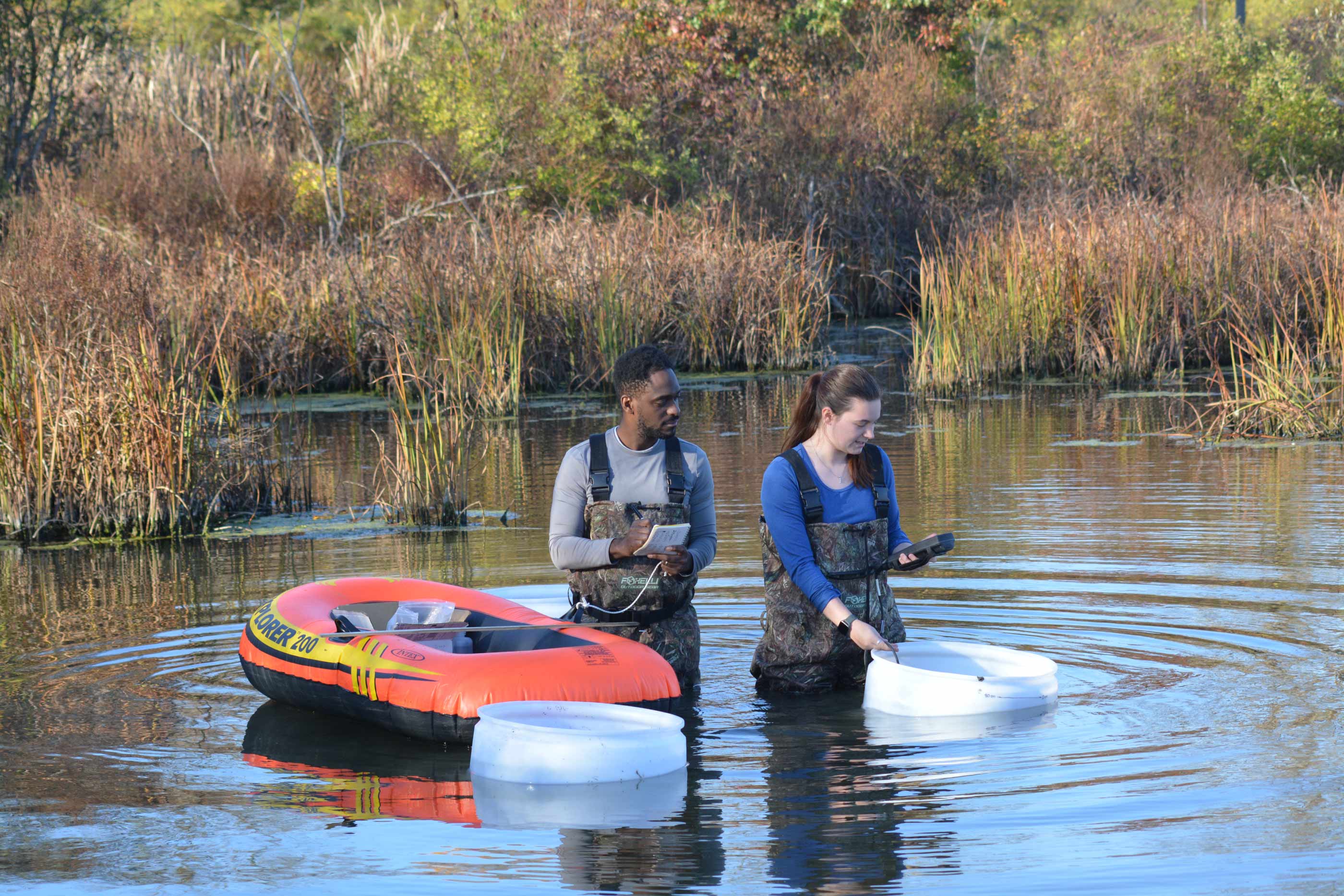 Two people stand with waders in marshy water, checking submerged buckets and taking measurements.