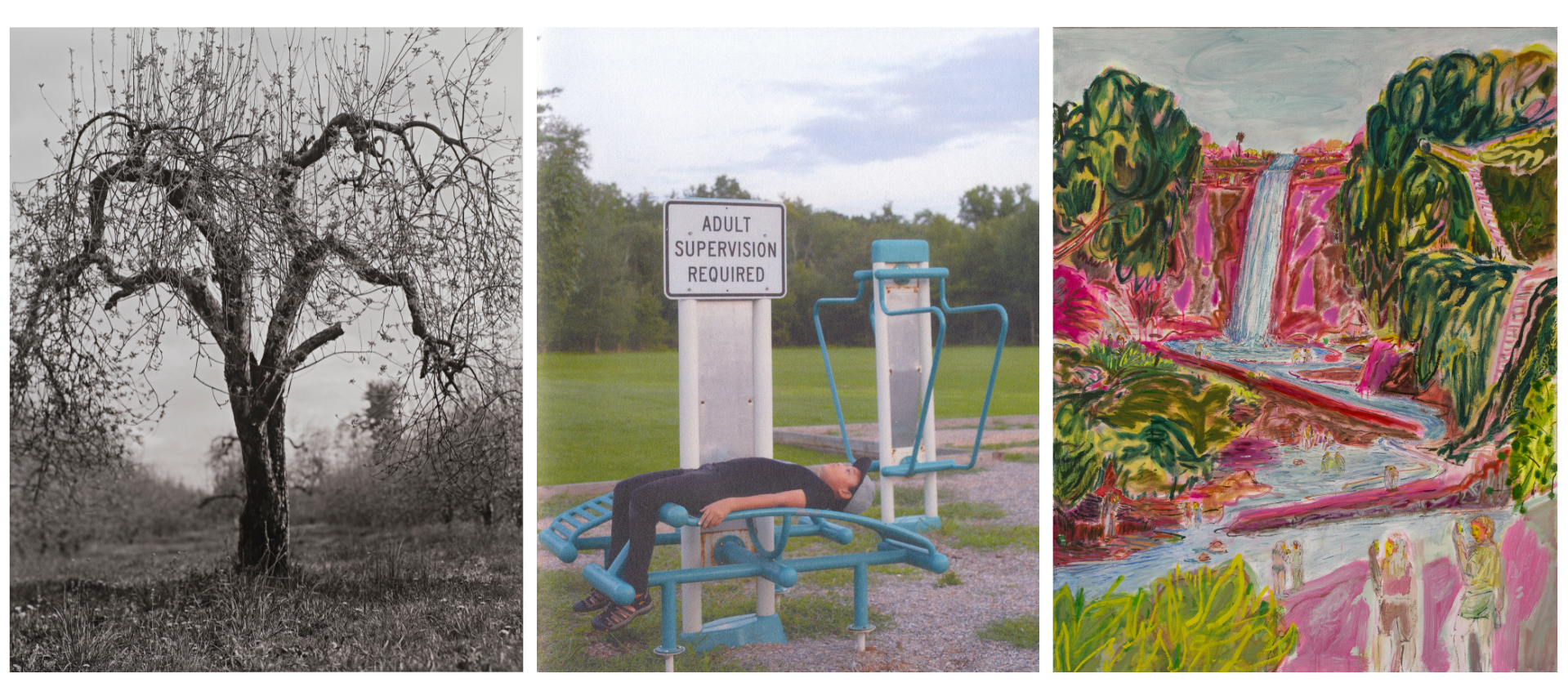 Composite of three artworks: Black and white image of an apple tree; a color photo of a boy on outdoor exercise equipment; and a painting of people visiting a waterfall.