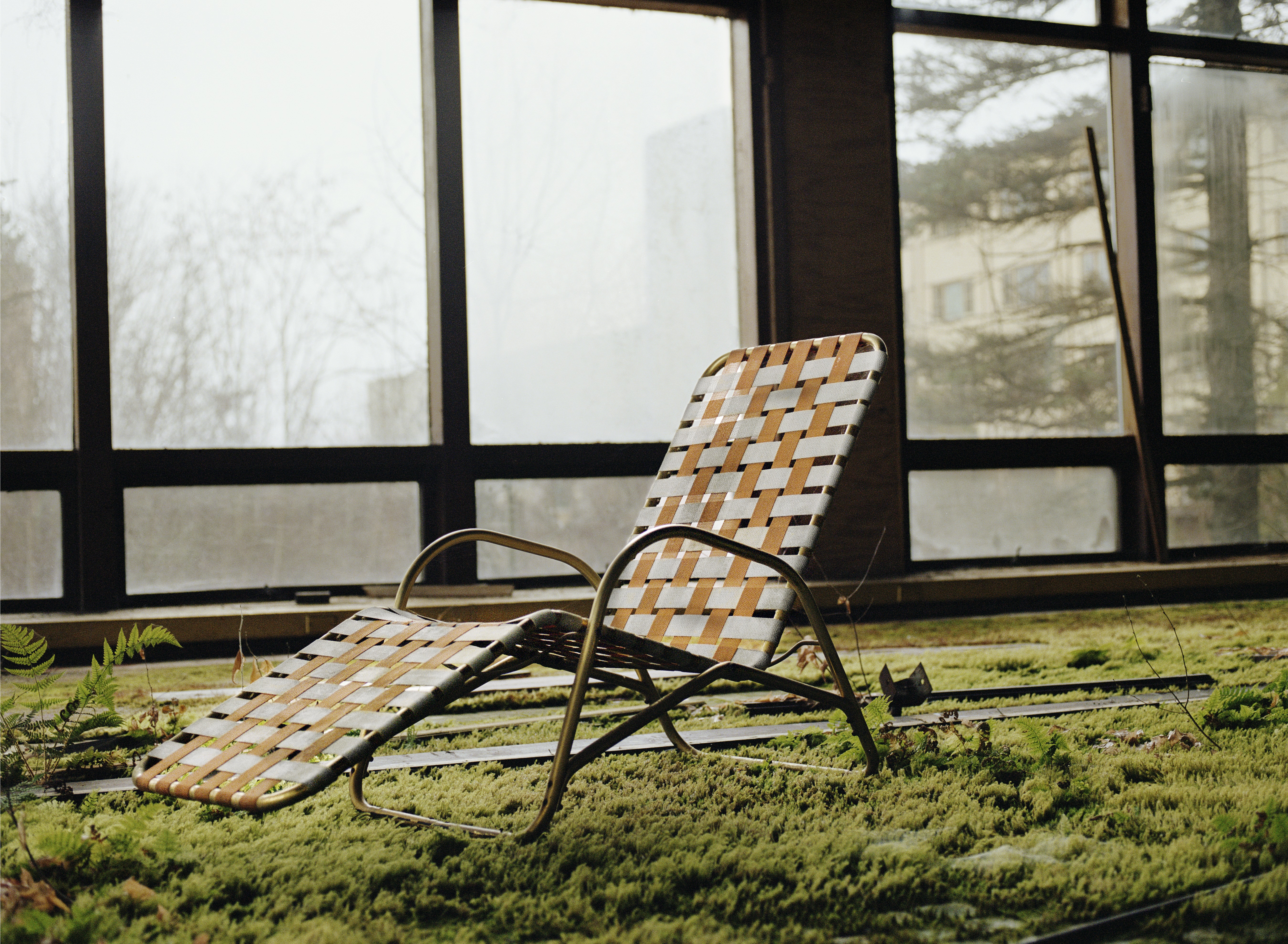 A pool lounge chair resting indoors on a carpet of moss, in front of a wall of windows.