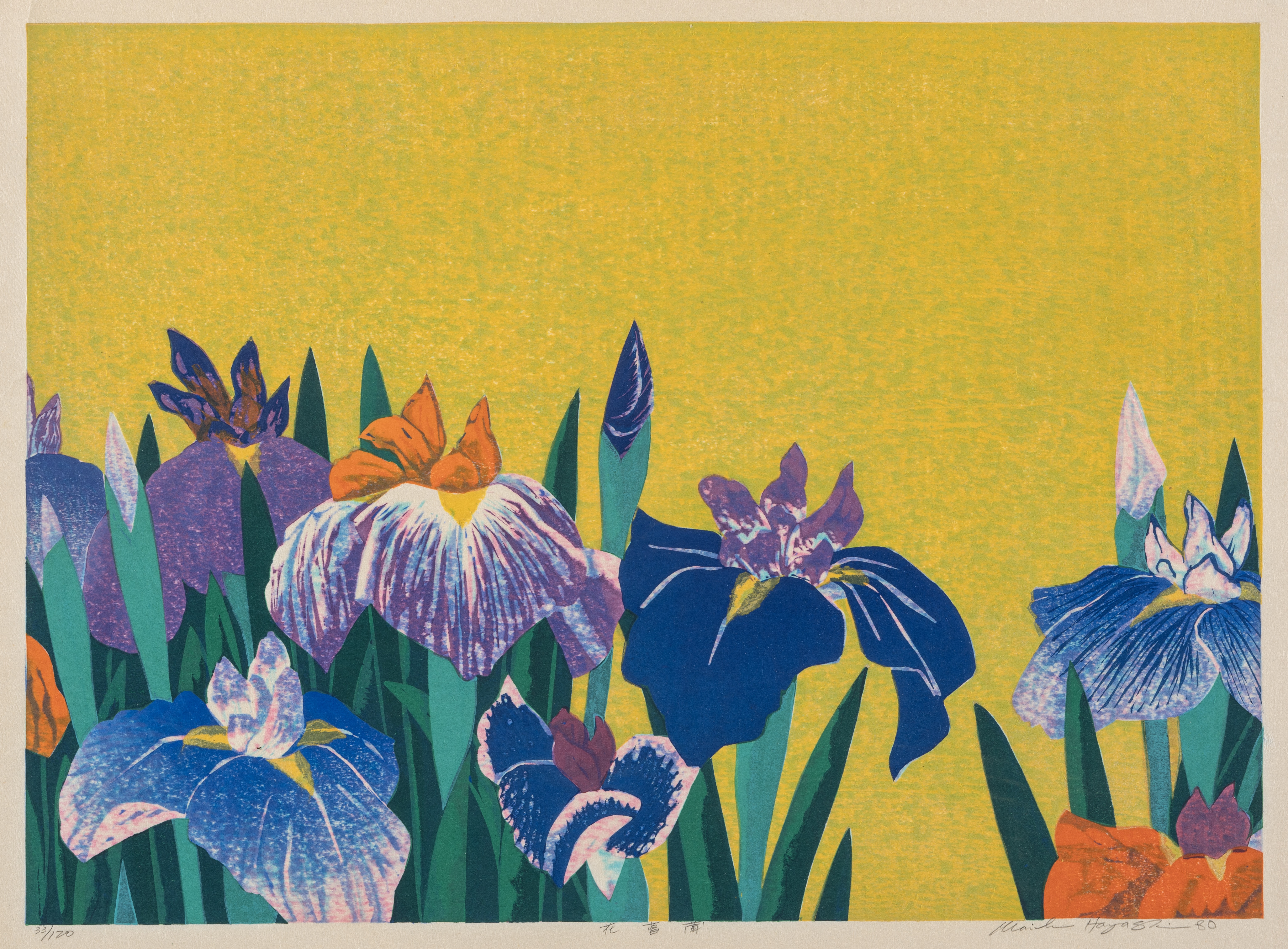 Colorful print of blue and purple iries against a yellow background.