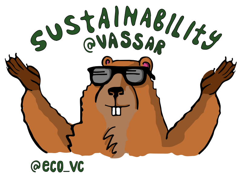 Illustration of a ground hog wearing sunglasses with text that reads: Sustainability @ Vassar @ECO_VC.