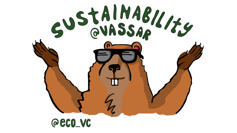 Illustration of a ground hog wearing sunglasses with text that reads: Sustainability @ Vassar @ECO_VC.