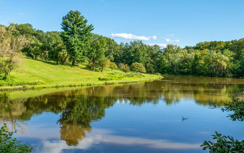 Green foliage and blue sky landscape with mirror reflection on the water.