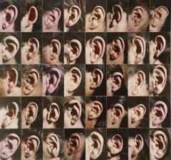 Athena Tacha (American, b. Greece, 1936), Ears, 1970–75, 40 chromogenic print fragments glued on rag board, Purchase, Louise Woodruff Johnston, class of 1922, Fund, 1975.14