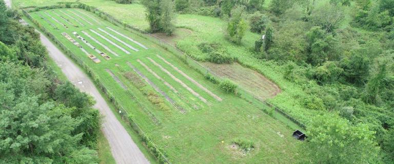 An overhead shot of a green field, with an access road running by it.