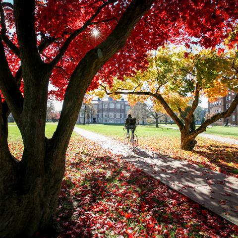Vassar Campus in the Fall