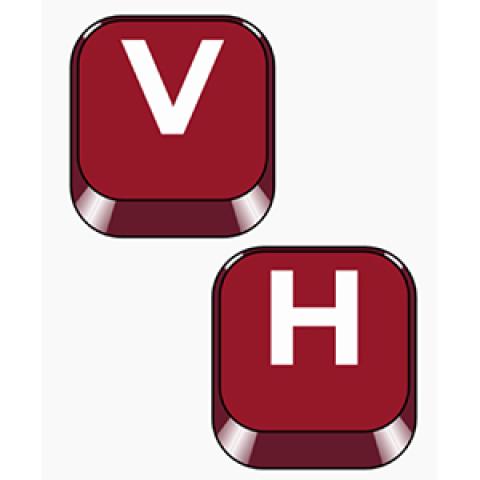 A logo consisting of two computer keyboard keys, one with the letter V and the other with the letter H