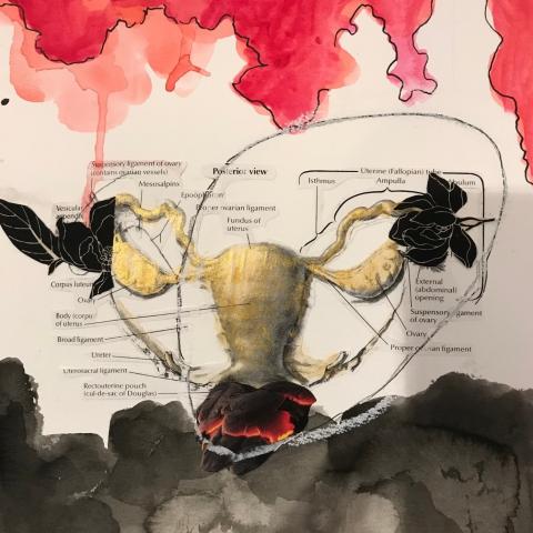 A diagram of a woman’s reproductive system is collaged on paper, surrounded by hues of red, black, and grey watercolor and organic plant forms.