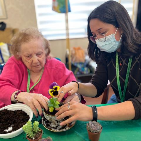 Two people at a table working together to plant a seedling.