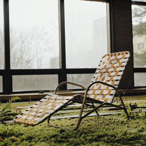 A pool lounge chair resting indoors on a carpet of moss, in front of a wall of windows.